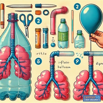 การจำลองการทำงานของปอด