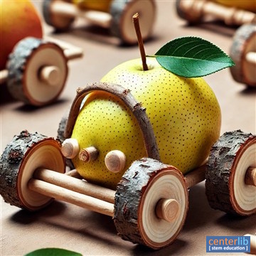 การสร้างรถจากผลไม้และกิ่งไม้