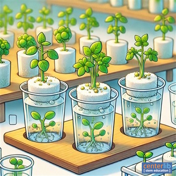 STEM Activities Guidebook - การทดลองการปลูกพืชในน้ำ